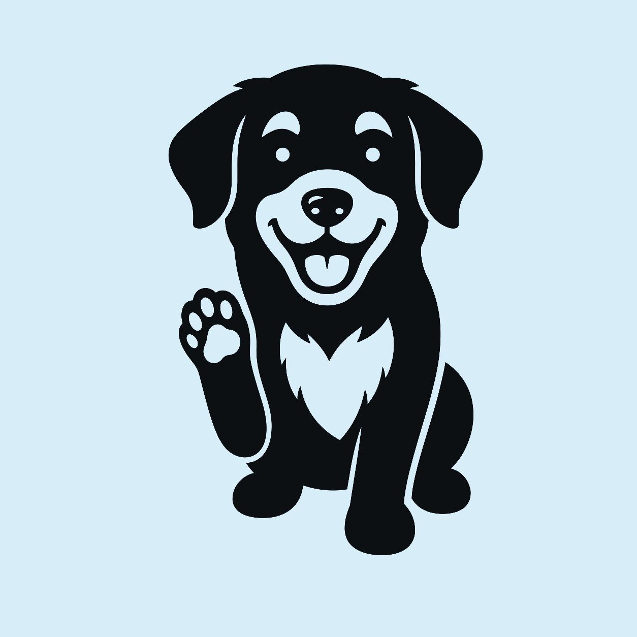Two-colour black dog offering a small separated paw on a baby-blue background